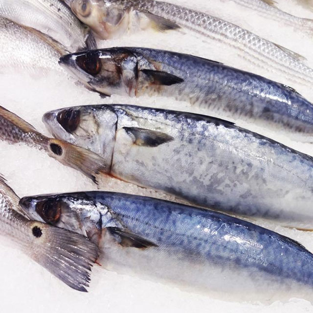 白花魚配送-粵崗蔬菜配送